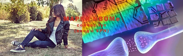 гидра Аркадак