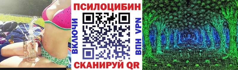 Псилоцибиновые грибы мицелий  как найти   Коркино 