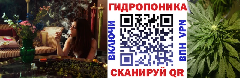 Бошки Шишки план Коркино